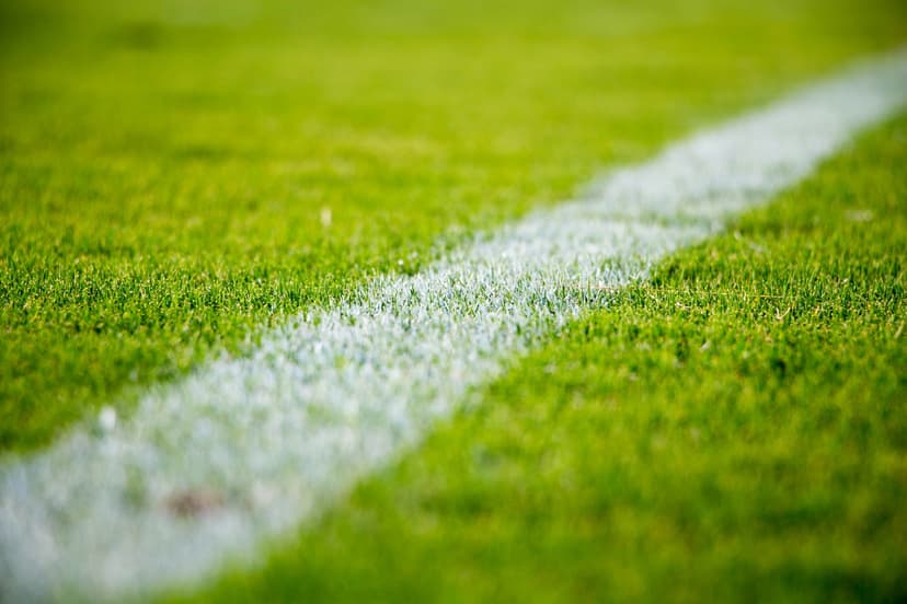 Sports Programs